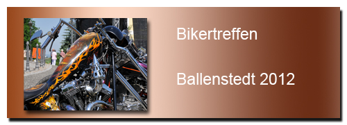 Bikertreffen