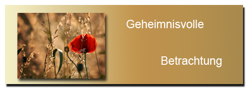 Geheimnisvoll